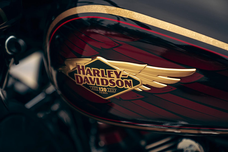 Harley-Davidson Nightster® Special-2